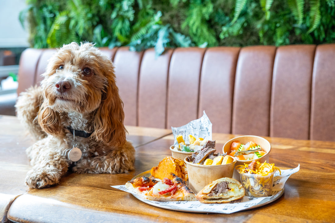 UK’s first ever street food market for both man and dog - and dogs eat free!