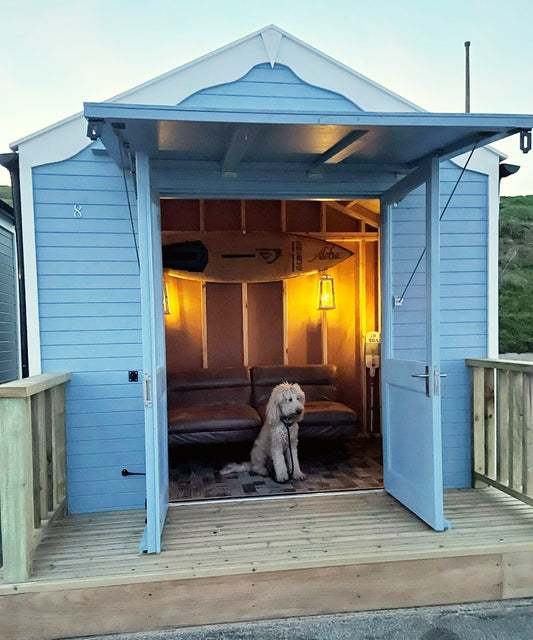 The rise of the 'Hut dog!' A third more owners are taking their dogs on a beach hut holiday this summer