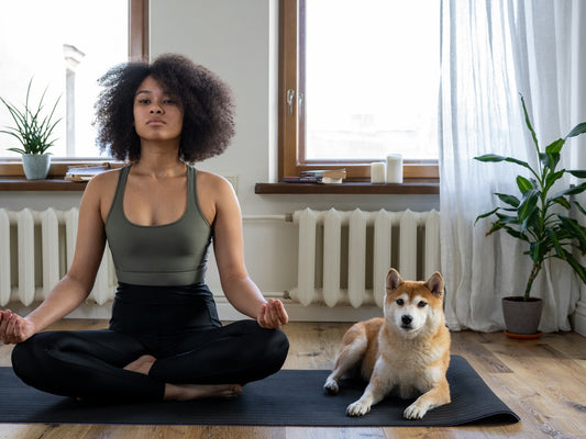 Exploring Doga: Yoga with Your Dog