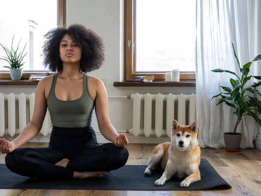 Meditation for Dogs: Discover a New Way to Relax and Bond with Your Dog