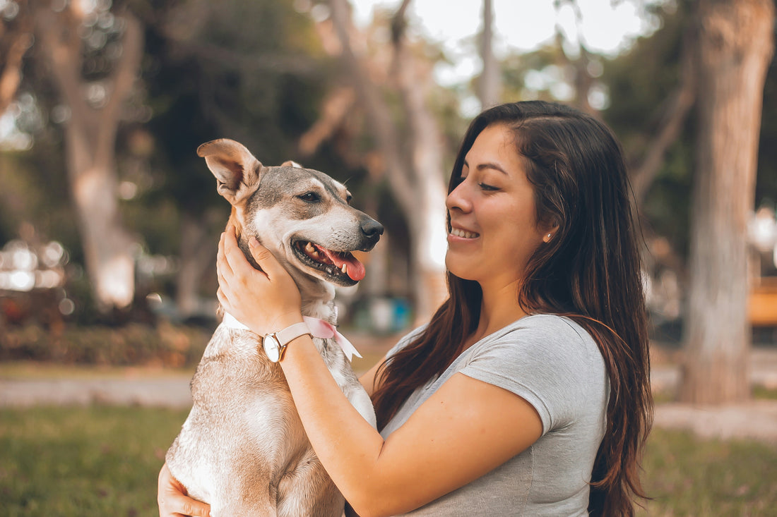 Unlocking the Mysteries of Dog Loyalty