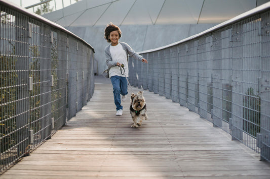 Introducing Puppies and Children: A Guide for a Happy Family