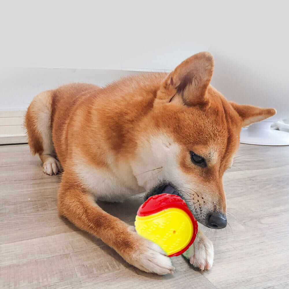 Dog Toy: Bite-Resistant Rubber Ball for Interactive Play, Anti-Destroy Design