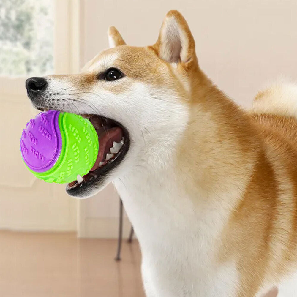 Dog Toy: Bite-Resistant Rubber Ball for Interactive Play, Anti-Destroy Design