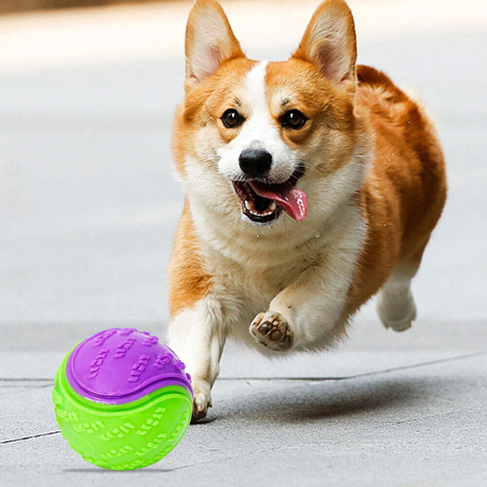 Dog Toy: Bite-Resistant Rubber Ball for Interactive Play, Anti-Destroy Design