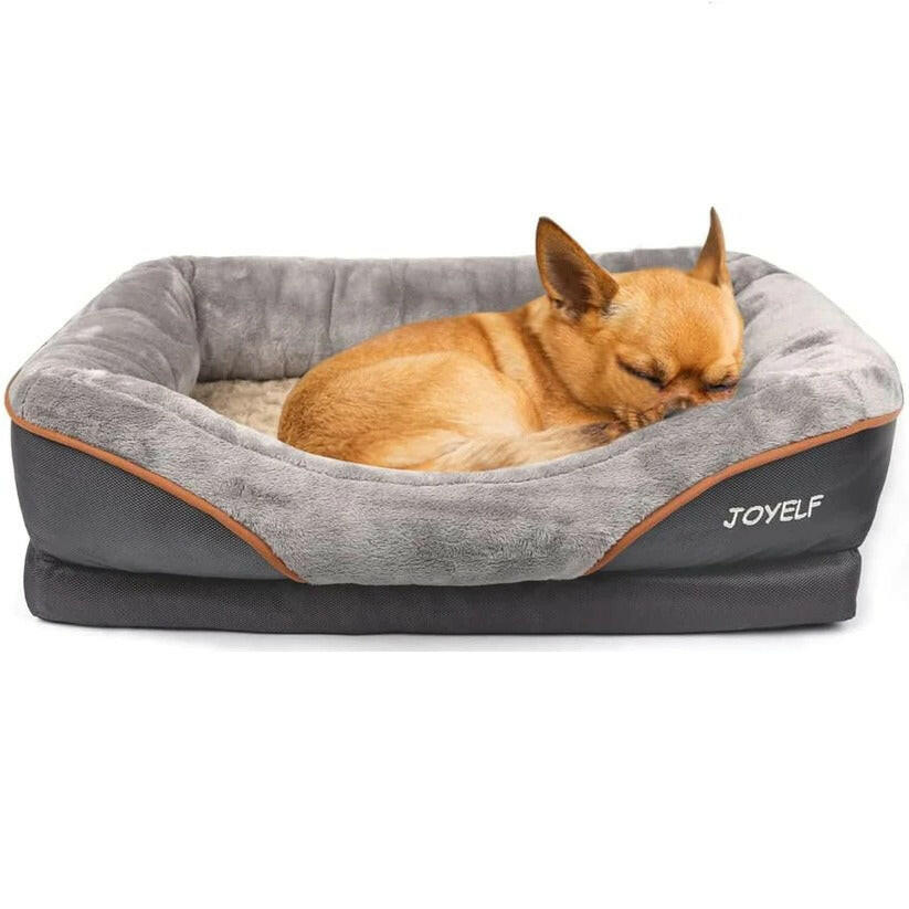 JOYELF Small Orthopedic Dog Bed with Memory Foam and Removable Cover