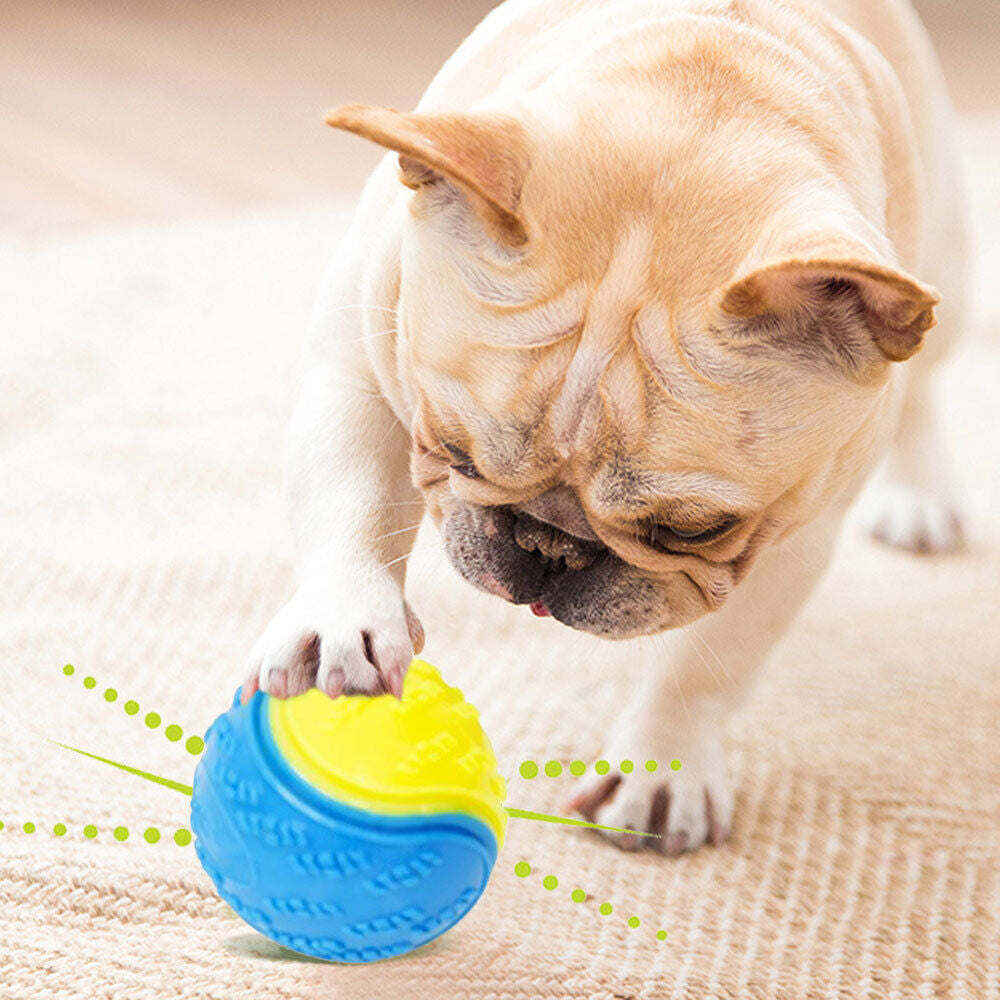 Dog Toy: Bite-Resistant Rubber Ball for Interactive Play, Anti-Destroy Design