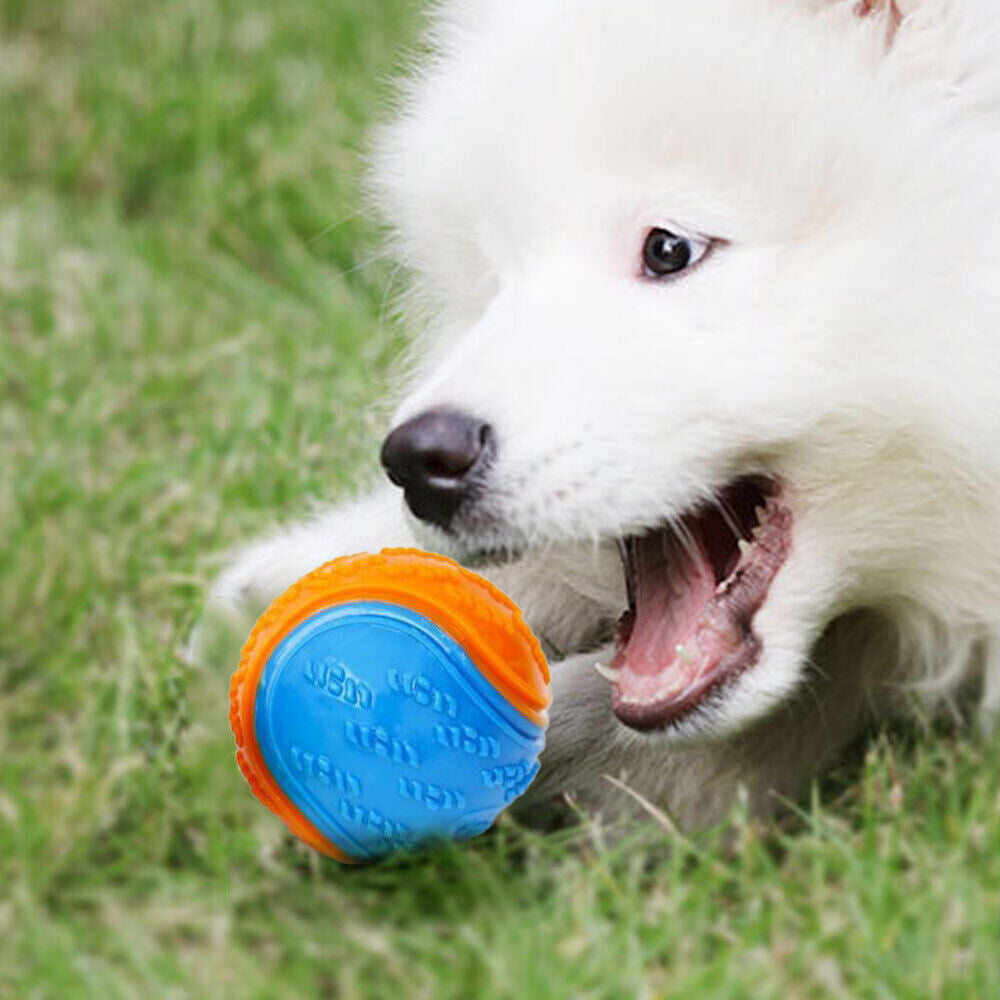 Dog Toy: Bite-Resistant Rubber Ball for Interactive Play, Anti-Destroy Design