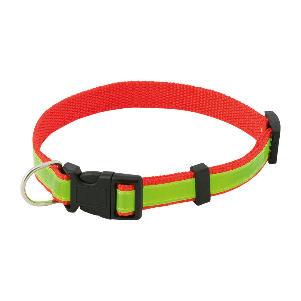 Reflective High Visibility Dog Collar