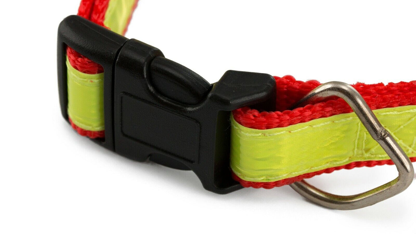 Reflective High Visibility Dog Collar