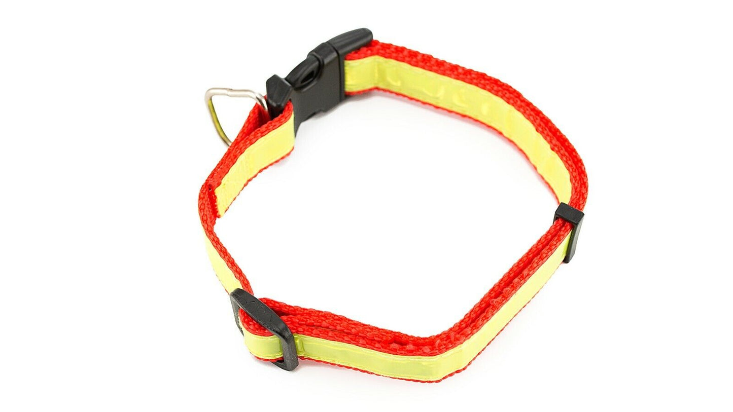 Reflective High Visibility Dog Collar