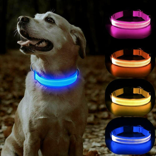 Enhanced Visibility USB Rechargeable LED Dog Collar with Flashing Luminous Nylon for Safety