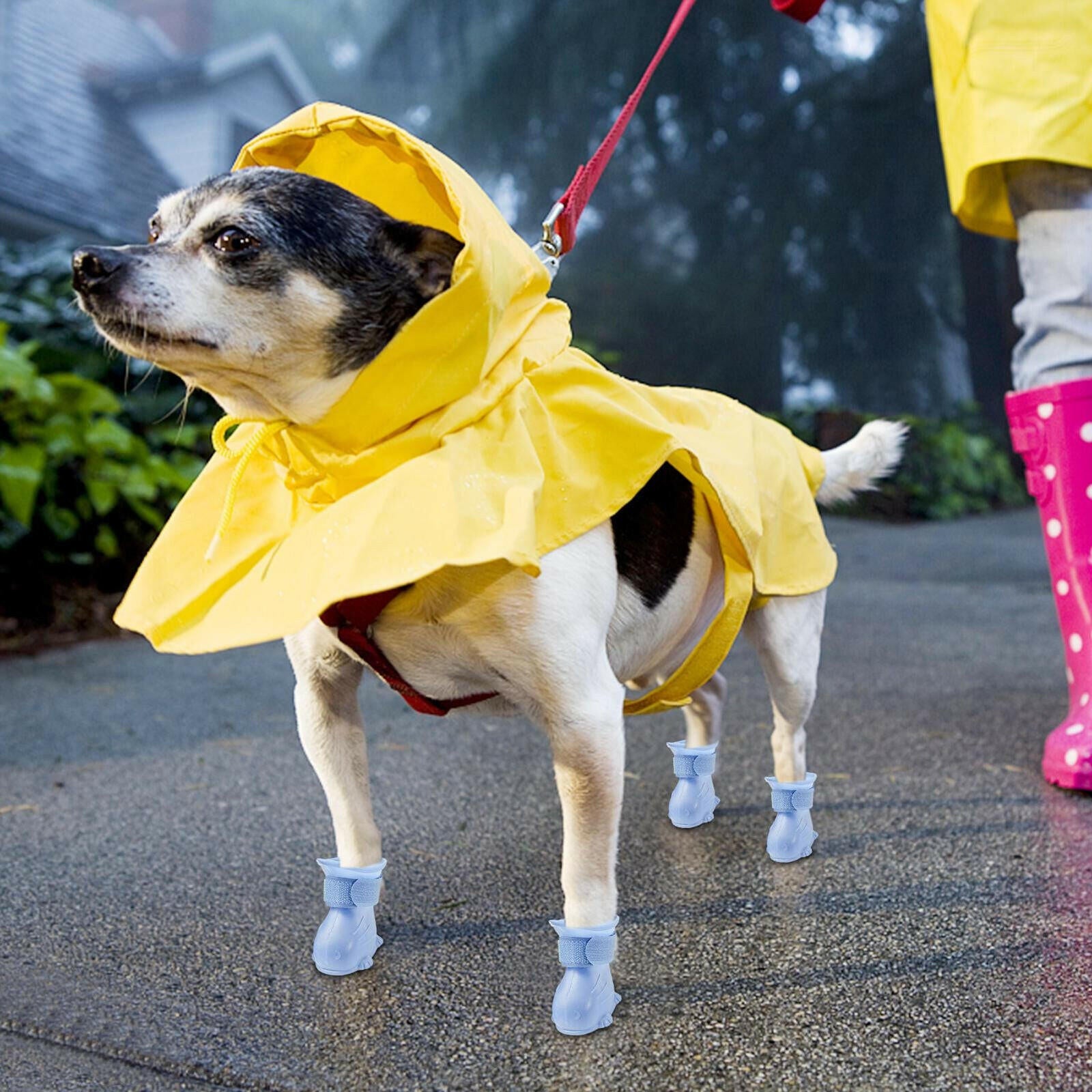 Waterproof Anti-Slip Dog Puppy Rain Boots/Shoes: Set of 4