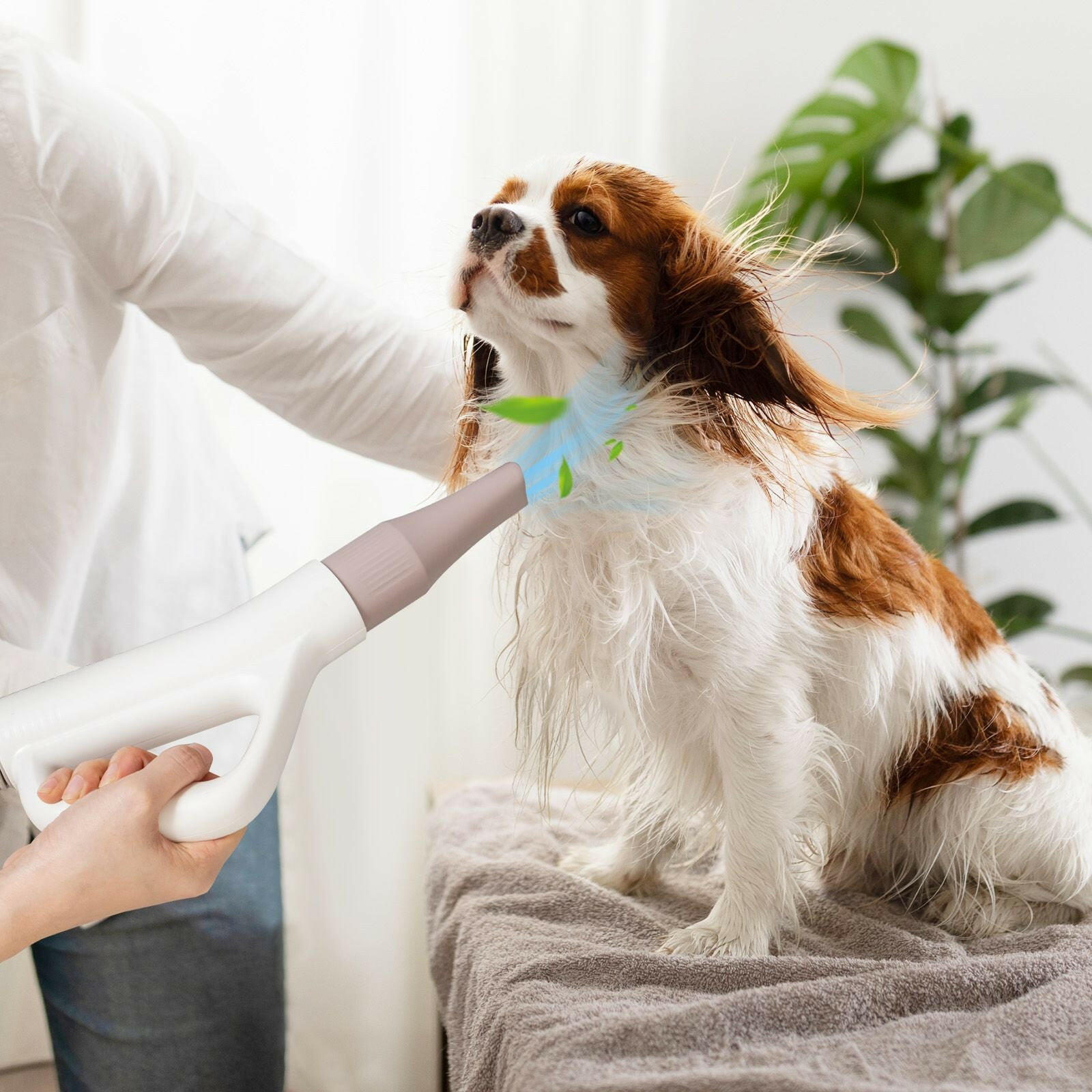 Professional Dog Hair Dryer with Negative Ion Technology: Fast Drying and Anti-Static for Pet Grooming