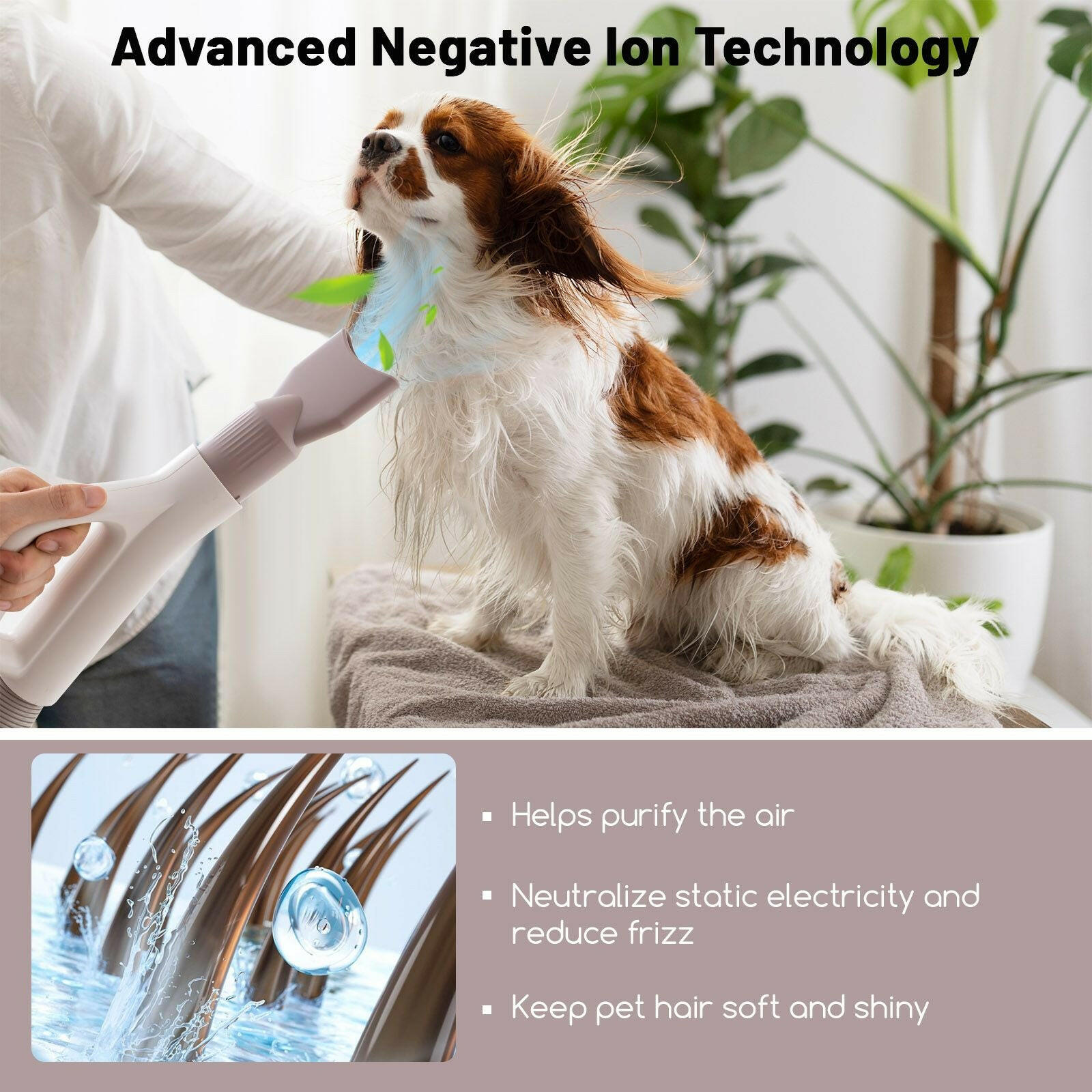 Professional Dog Hair Dryer with Negative Ion Technology: Fast Drying and Anti-Static for Pet Grooming