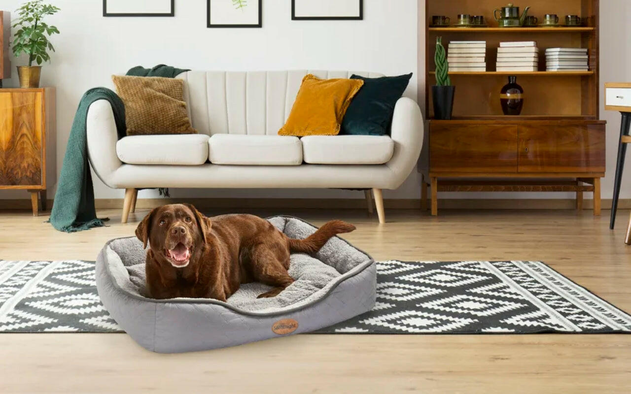 Airmax Breathable Pet Bed with Reversible Cushion Design for Enhanced Comfort and Versatility