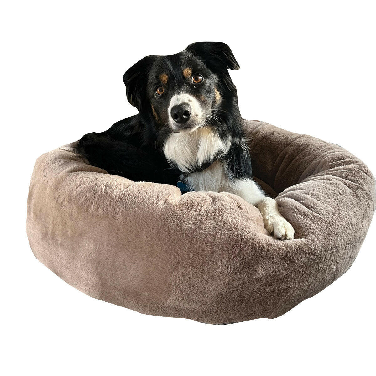 Cozy Oval Pet Bed