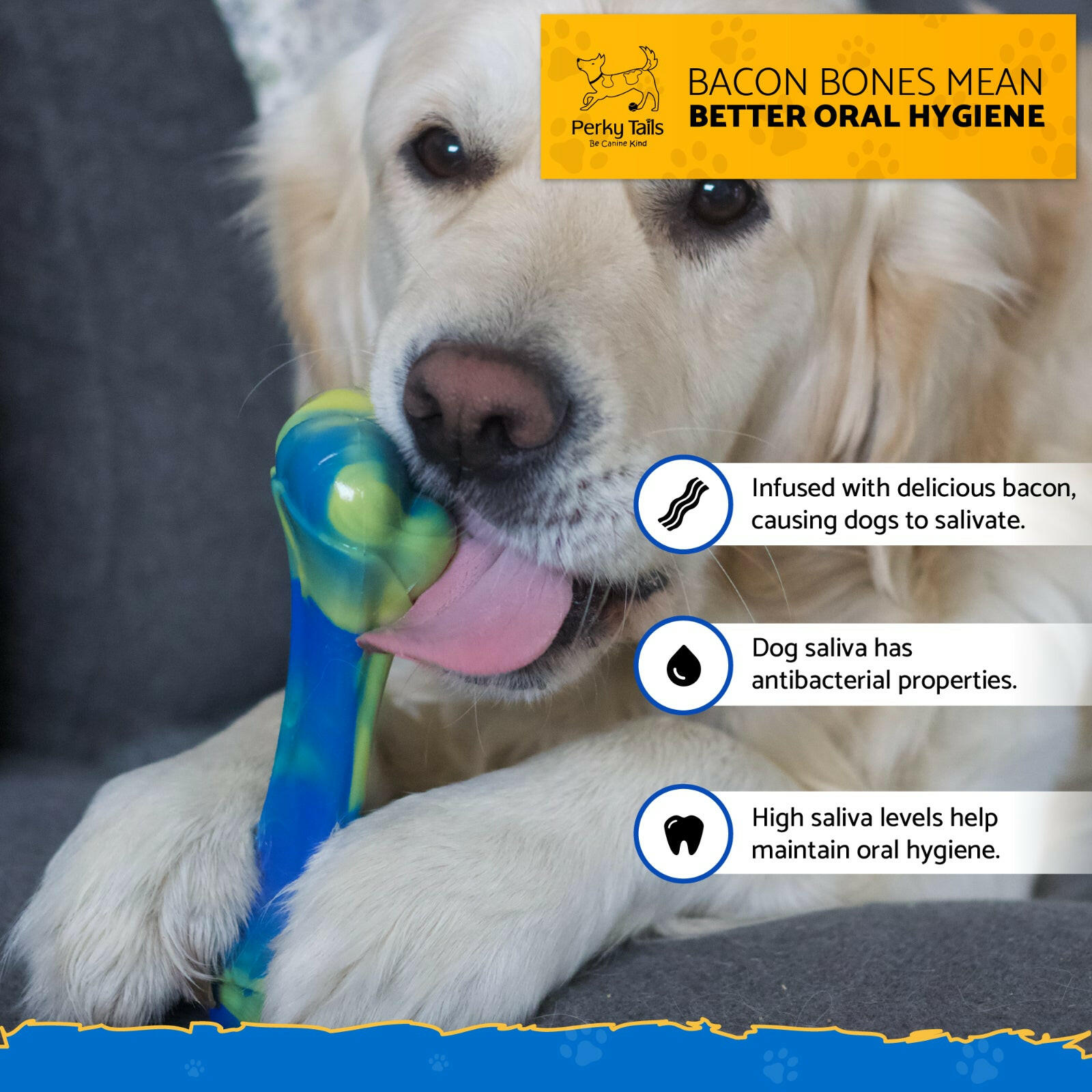 Durable Nylon Bone Chew Toys: Ideal for Aggressive Chewers