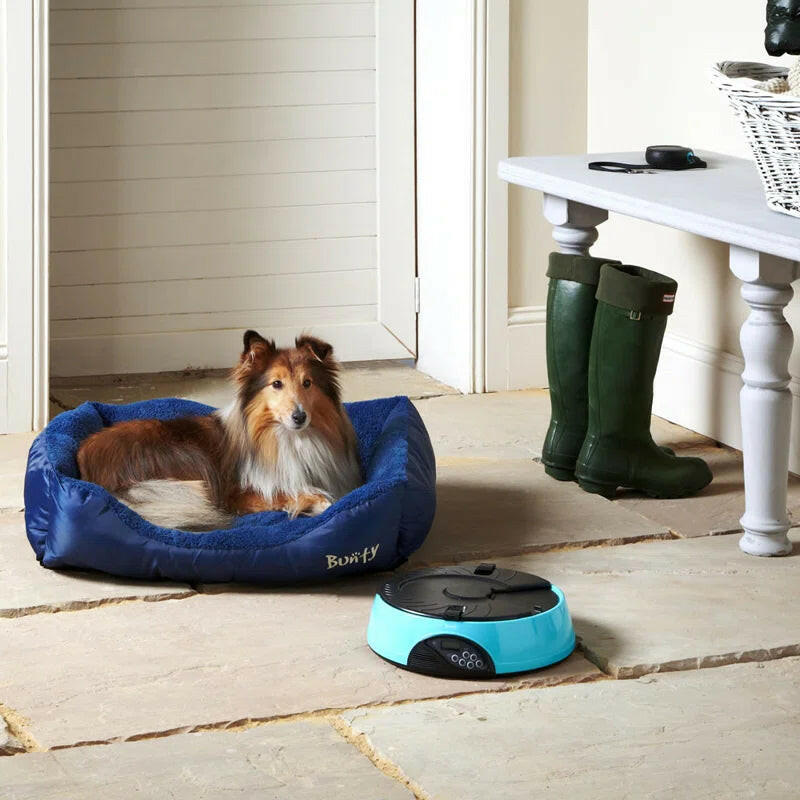 Bunty Deluxe Calming Washable Dog Bed: Small to XXL - Ultimate Comfort and Security