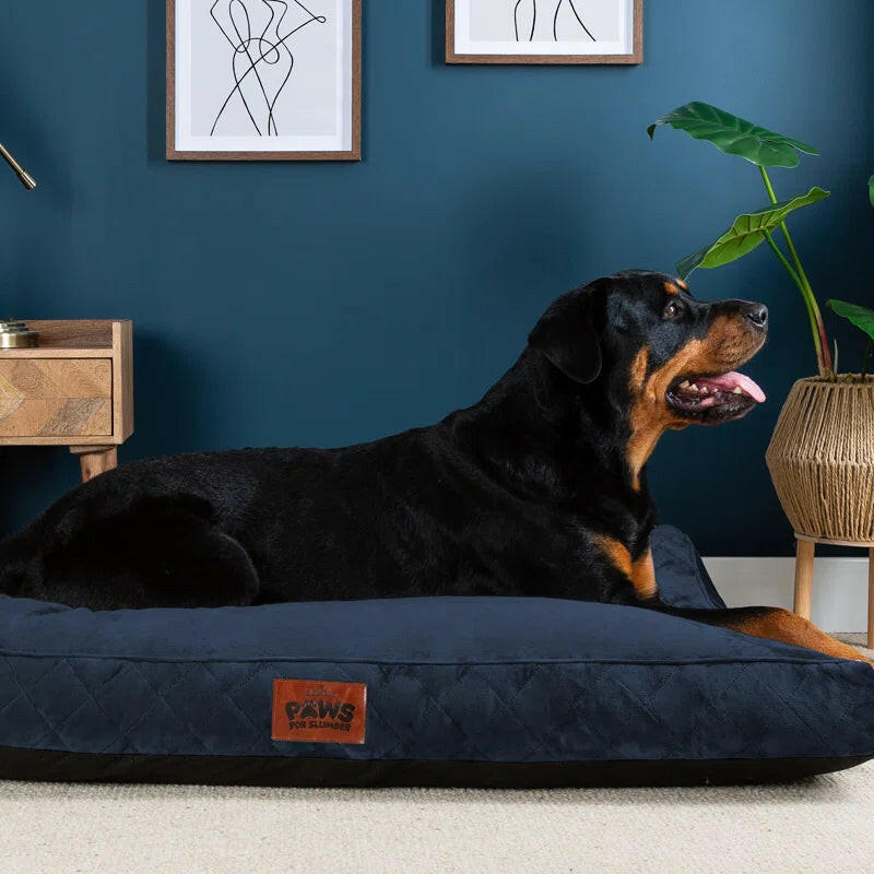 Luxurious Comfort: Machine Washable Cushioned Velvet Pet Bed for Restful Sleep