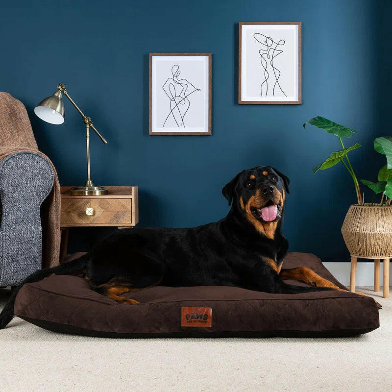 Luxurious Comfort: Machine Washable Cushioned Velvet Pet Bed for Restful Sleep