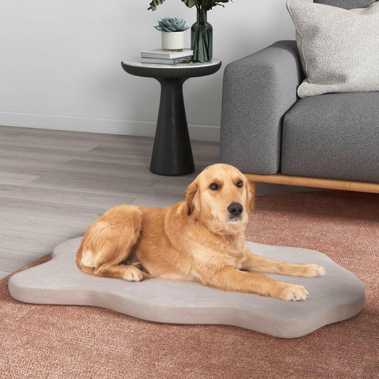 Luxury Large Dog Bed with Memory Foam Support and Removable Easy-to-Clean Cover