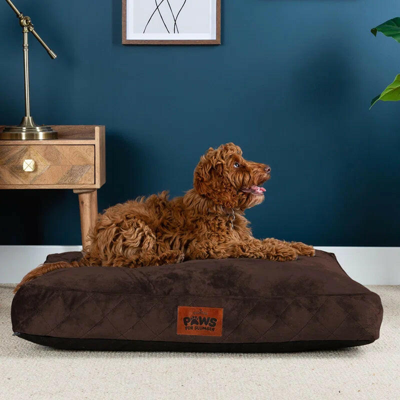 Luxurious Comfort: Machine Washable Cushioned Velvet Pet Bed for Restful Sleep